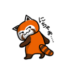 ハイ！レッサーパンダ（個別スタンプ：4）