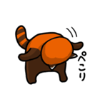 ハイ！レッサーパンダ（個別スタンプ：5）