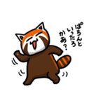 ハイ！レッサーパンダ（個別スタンプ：19）