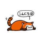 ハイ！レッサーパンダ（個別スタンプ：25）