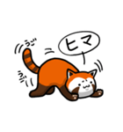 ハイ！レッサーパンダ（個別スタンプ：29）