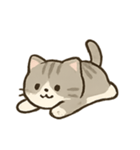 のんびり子猫のほっこりライフ（個別スタンプ：1）