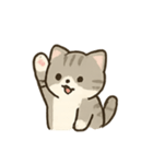 のんびり子猫のほっこりライフ（個別スタンプ：8）