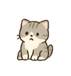 のんびり子猫のほっこりライフ（個別スタンプ：10）