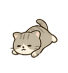 のんびり子猫のほっこりライフ（個別スタンプ：16）