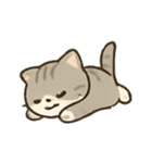のんびり子猫のほっこりライフ（個別スタンプ：17）