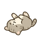 のんびり子猫のほっこりライフ（個別スタンプ：19）