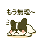 フレブルスタンプ 発表♡勉強♡家族用（個別スタンプ：19）