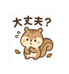 秋のかわいいリススタンプ（個別スタンプ：5）