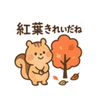 秋のかわいいリススタンプ（個別スタンプ：14）