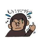 だじゃれなどうぶつ（個別スタンプ：3）