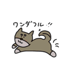 だじゃれなどうぶつ（個別スタンプ：19）