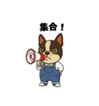 日常会話で大活躍！可愛いオーバーオール犬（個別スタンプ：10）