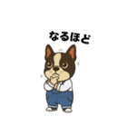日常会話で大活躍！可愛いオーバーオール犬（個別スタンプ：20）