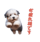 [お疲れ様です]イングリッシュシープドッグ（個別スタンプ：4）