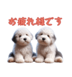 [お疲れ様です]イングリッシュシープドッグ（個別スタンプ：16）