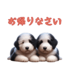 [お帰りなさい]イングリッシュシープドッグ（個別スタンプ：2）