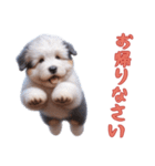 [お帰りなさい]イングリッシュシープドッグ（個別スタンプ：4）