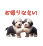 [お帰りなさい]イングリッシュシープドッグ（個別スタンプ：6）