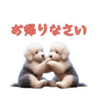 [お帰りなさい]イングリッシュシープドッグ（個別スタンプ：14）