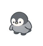 こぺんぎんのほっこりタイム（個別スタンプ：9）
