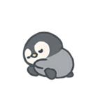 こぺんぎんのほっこりタイム（個別スタンプ：12）