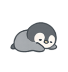 こぺんぎんのほっこりタイム（個別スタンプ：20）
