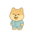 柴犬パジャマの遊び時間（個別スタンプ：1）