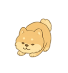 柴犬パジャマの遊び時間（個別スタンプ：3）