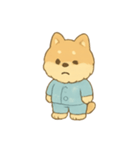 柴犬パジャマの遊び時間（個別スタンプ：8）