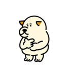白柴プップ（個別スタンプ：3）