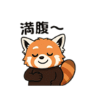 レッサーパンダの毎日使える日常スタンプ（個別スタンプ：19）