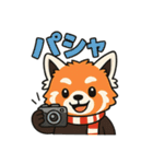 レッサーパンダの毎日使える日常スタンプ（個別スタンプ：25）