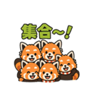 レッサーパンダの毎日使える日常スタンプ（個別スタンプ：29）