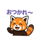 レッサーパンダの毎日使える日常スタンプ（個別スタンプ：33）