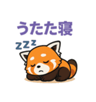 レッサーパンダの毎日使える日常スタンプ（個別スタンプ：38）