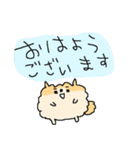 もっふもふポメラニアン！（個別スタンプ：1）