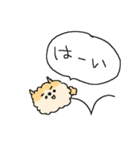 もっふもふポメラニアン！（個別スタンプ：11）