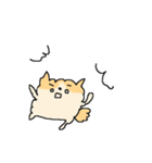 もっふもふポメラニアン！（個別スタンプ：36）