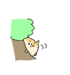 もっふもふポメラニアン！（個別スタンプ：37）