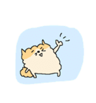 もっふもふポメラニアン！（個別スタンプ：38）