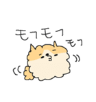 もっふもふポメラニアン！（個別スタンプ：40）