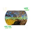 クメール語シアムリアップ州で日常挨拶体力（個別スタンプ：16）