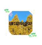クメール語シアムリアップ州で日常挨拶体力（個別スタンプ：39）