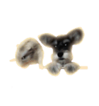 愛犬シュナウザーのまぁしゅ (文字無 Ver.)（個別スタンプ：11）