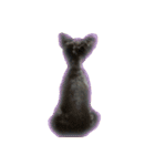 愛犬シュナウザーのまぁしゅ (文字無 Ver.)（個別スタンプ：23）