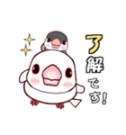 桜文鳥の僕と白文鳥のクーミンでーす。（個別スタンプ：2）