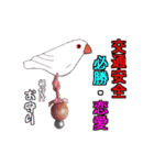 桜文鳥の僕と白文鳥のクーミンでーす。（個別スタンプ：23）