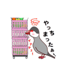 桜文鳥の僕と白文鳥のクーミンでーす。（個別スタンプ：24）