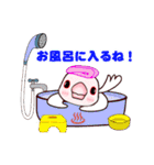 桜文鳥の僕と白文鳥のクーミンでーす。（個別スタンプ：26）